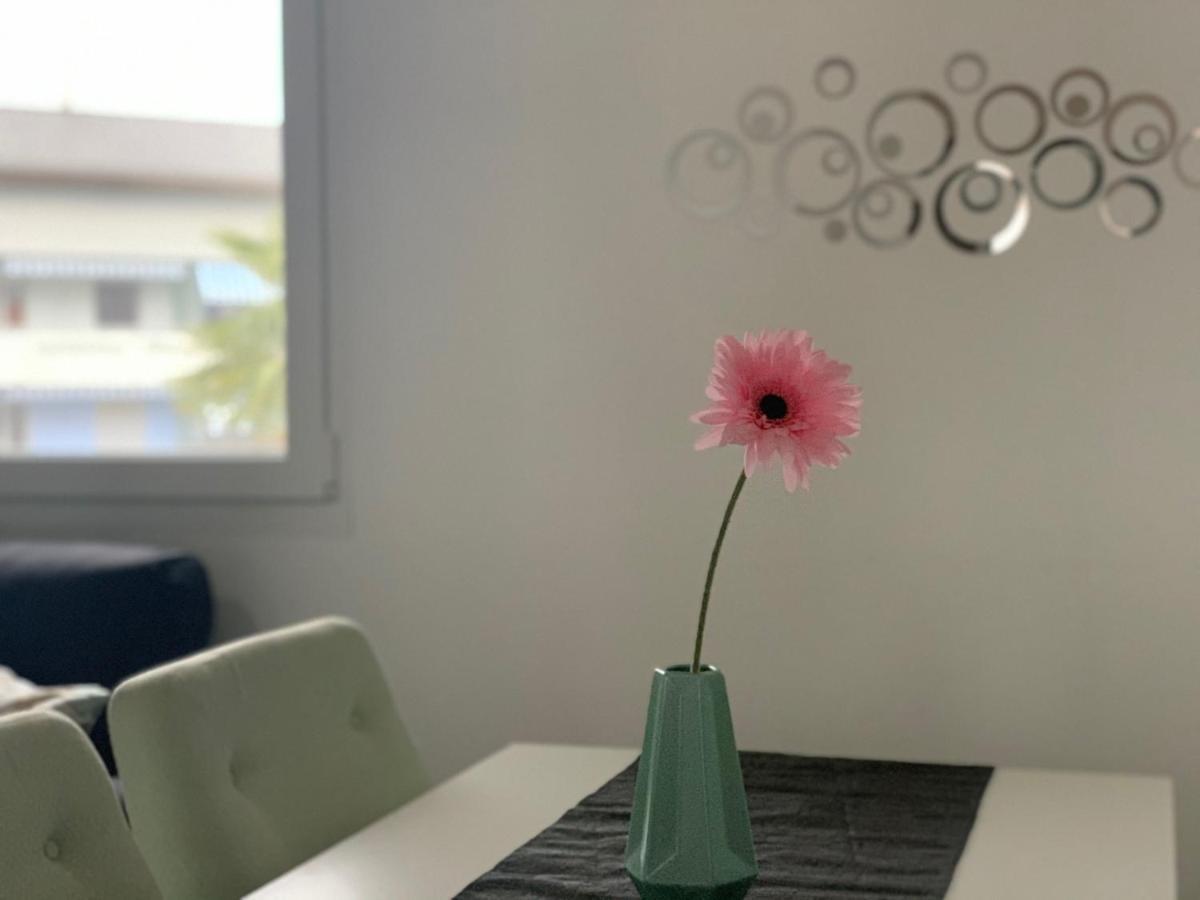 Appartamento Miranda, Modern Duplex, Garden, Swimming Pool, Parking Losone Esterno foto